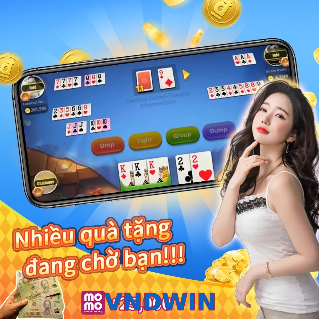 VNDWIN