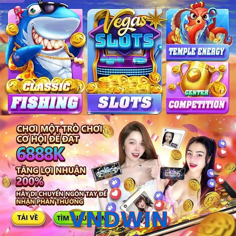 VNDWIN