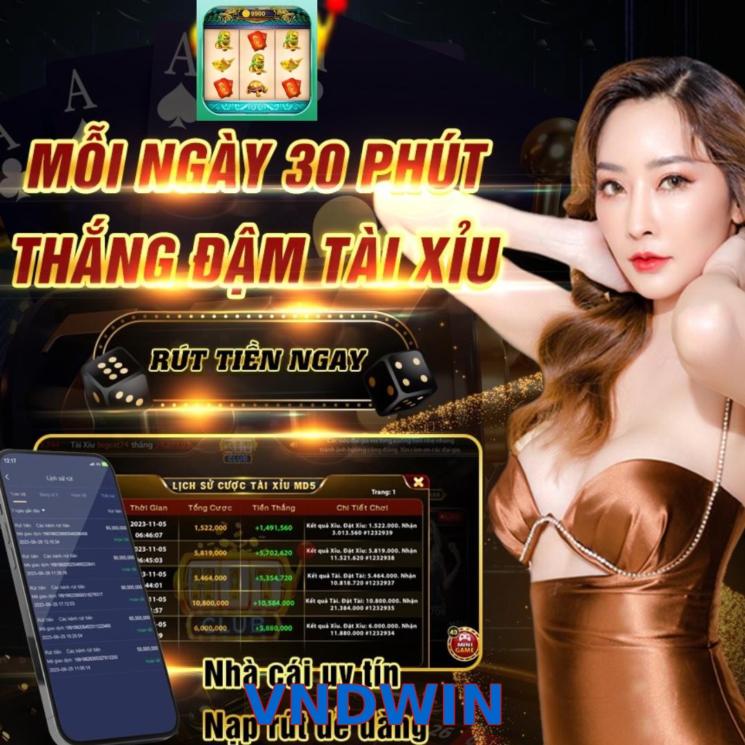 VNDWIN