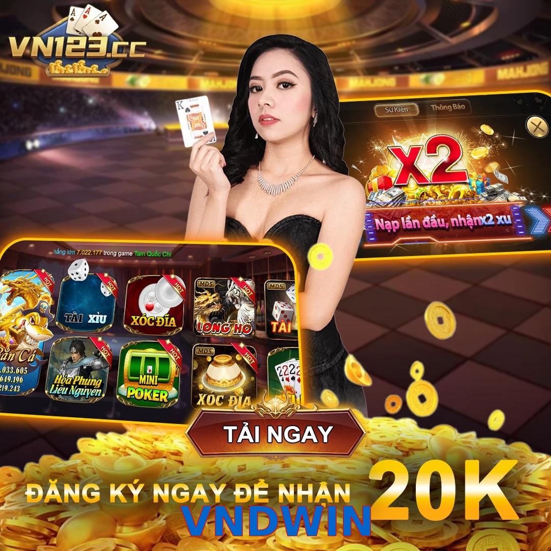 VNDWIN