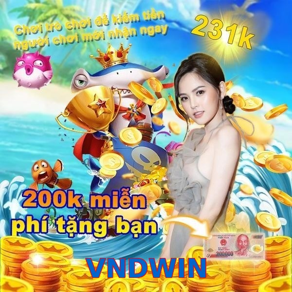 VNDWIN