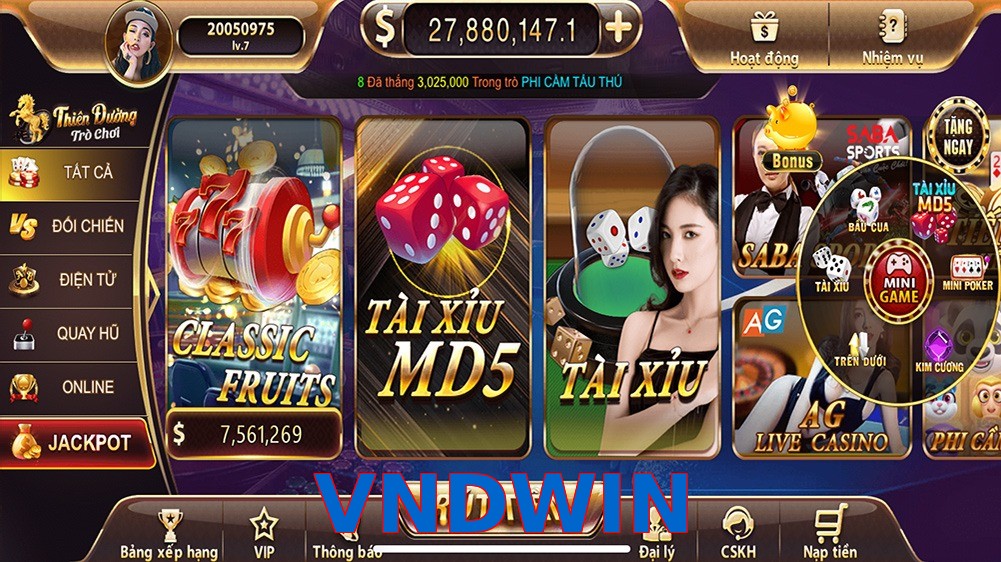 VNDWIN