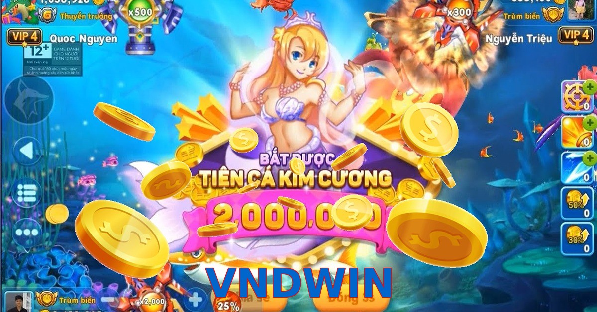 VNDWIN