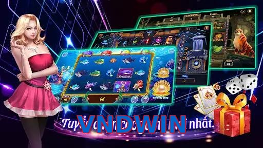 VNDWIN