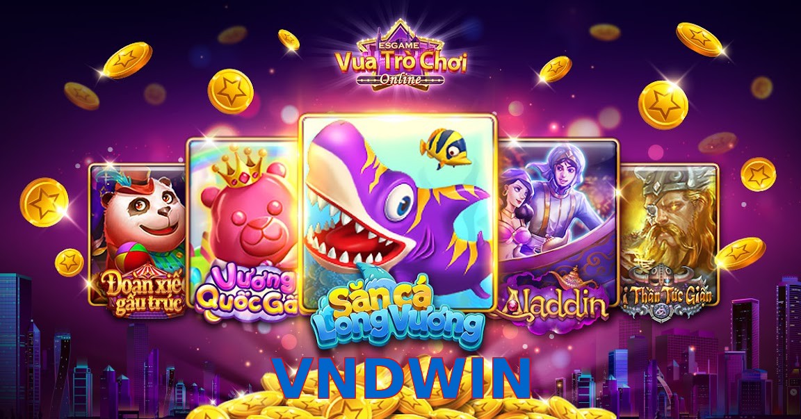 VNDWIN