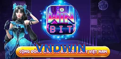 VNDWIN