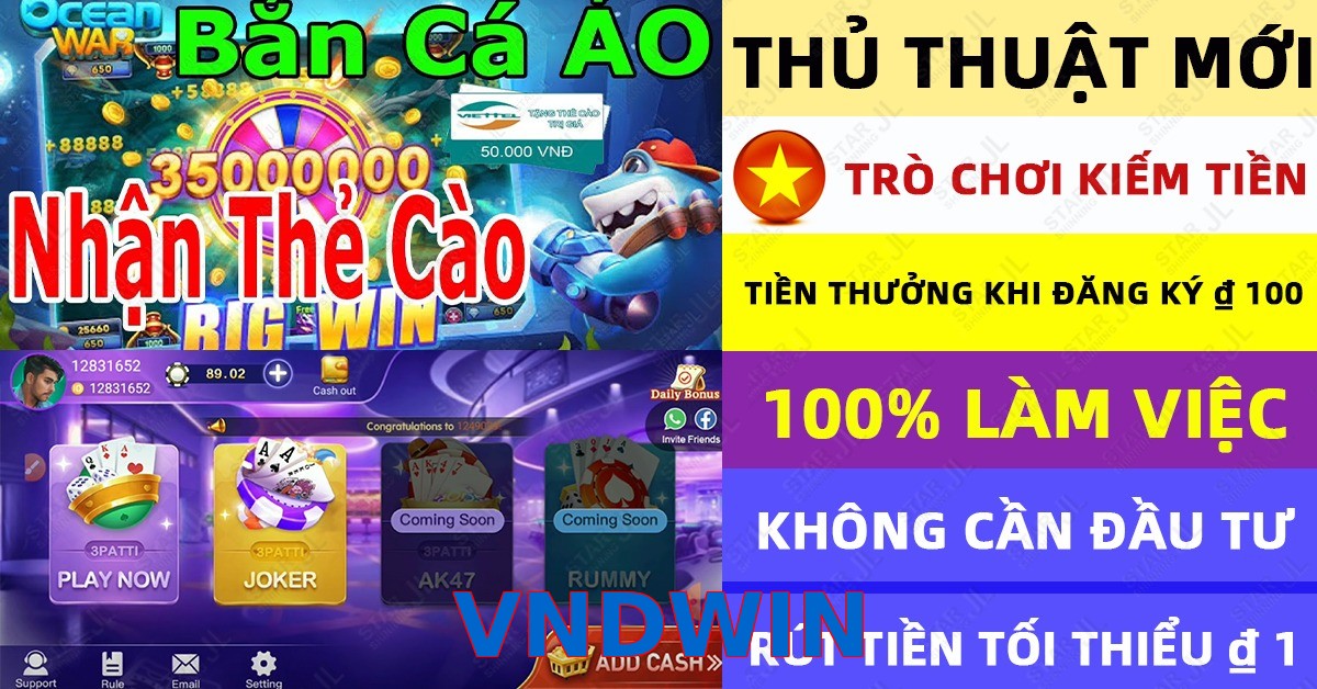 VNDWIN