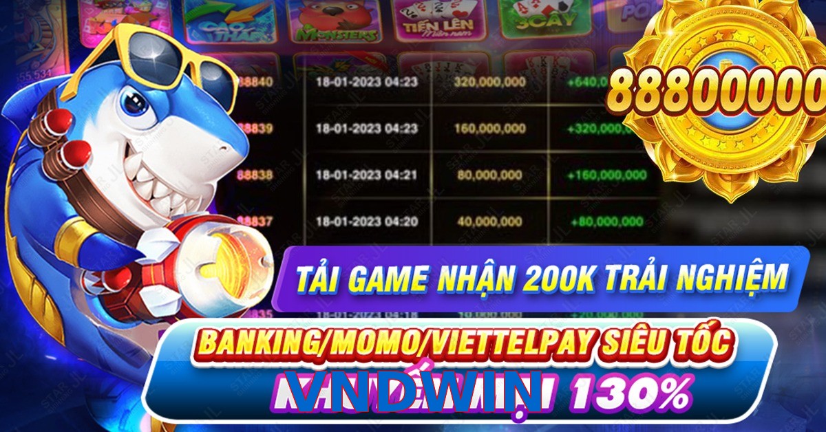 VNDWIN