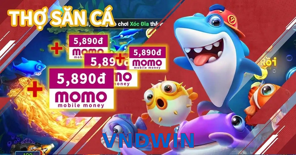 VNDWIN