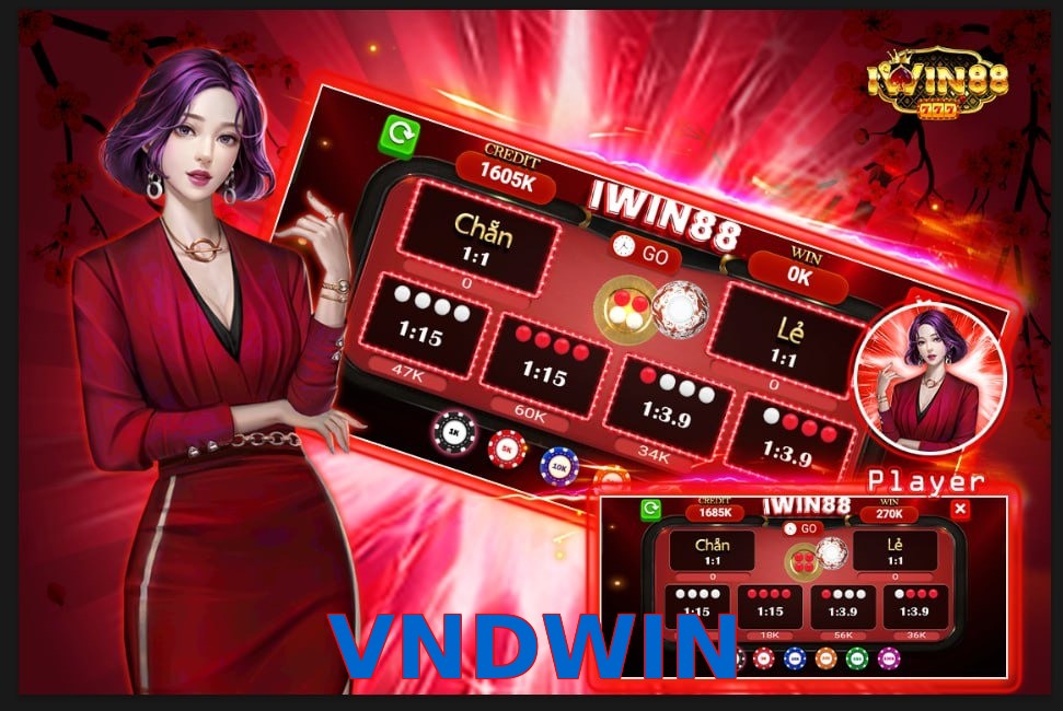 VNDWIN