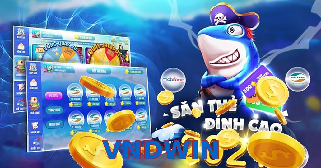 VNDWIN