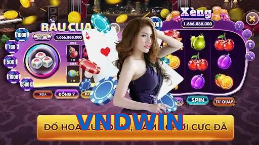 VNDWIN