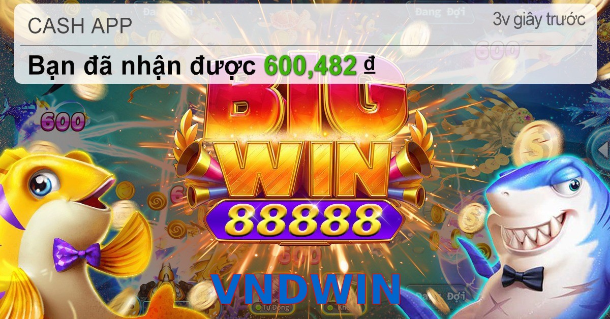 VNDWIN