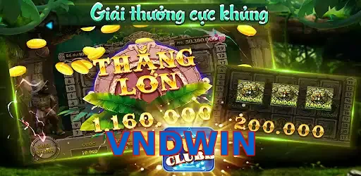 VNDWIN