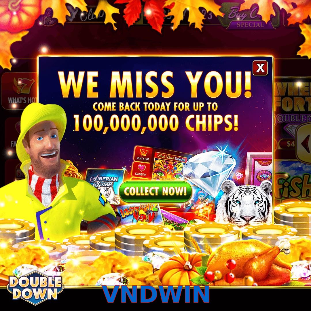 VNDWIN