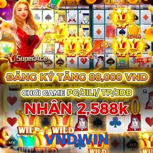 VNDWIN