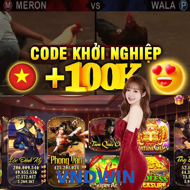 VNDWIN