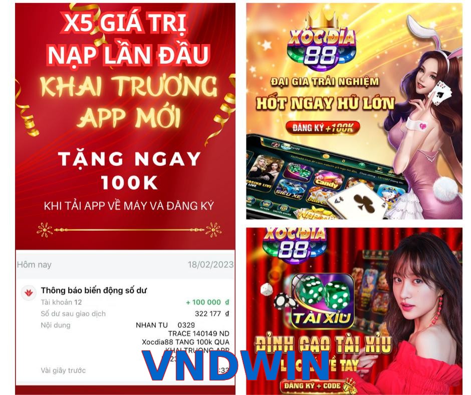 VNDWIN