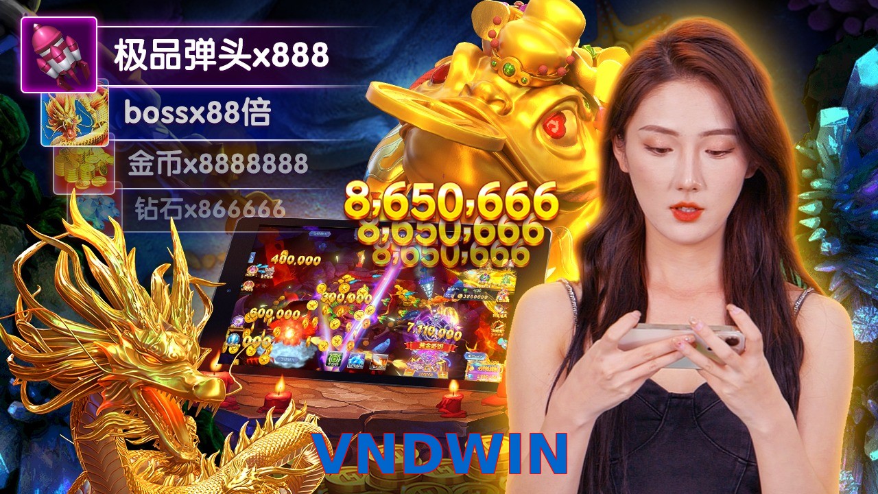 VNDWIN